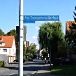 Am Trompeterwäldchen