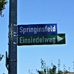 Springinsfeld