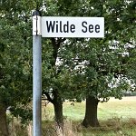 Wilde See